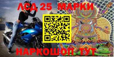 гидропоника Будённовск