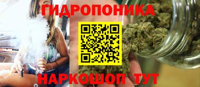 гидропоника Будённовск