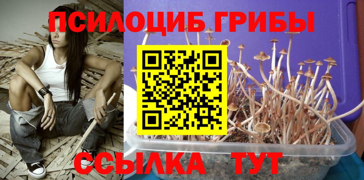Галлюциногенные грибы GOLDEN TEACHER Малоярославец